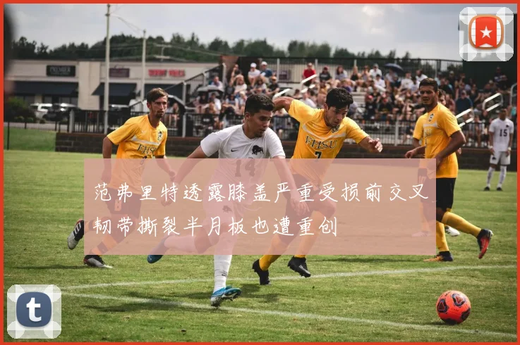 范弗里特透露膝盖严重受损前交叉韧带撕裂半月板也遭重创